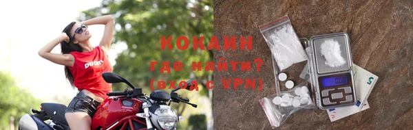 круглые Пересвет