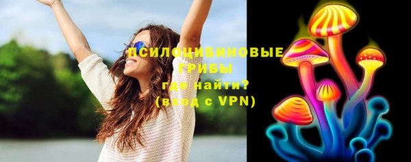 круглые Пересвет