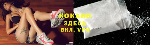 круглые Пересвет