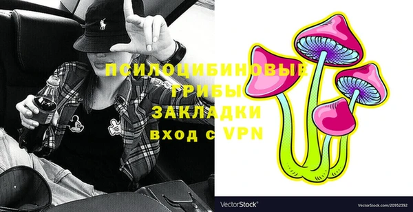 круглые Пересвет