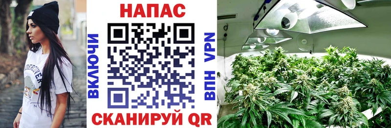 Каннабис Amnesia  Россошь 